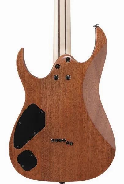 Ibanez RGR5221R-TFR, yksityiskohta 5