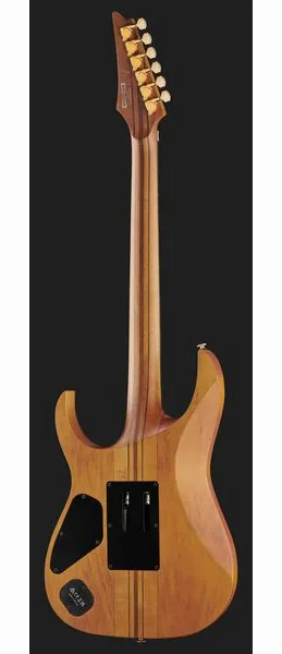 Ibanez RGT1220PB-ABS, yksityiskohta 3