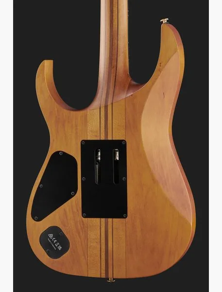 Ibanez RGT1220PB-ABS, yksityiskohta 5