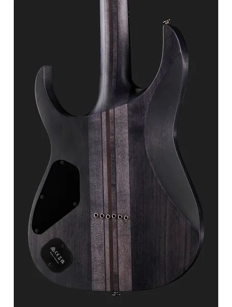 Ibanez RGT1221PB-DTF, yksityiskohta 5