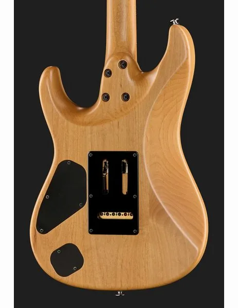 Ibanez TQM2-CUF, yksityiskohta 5