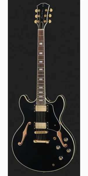 Larry Carlton H7 BK, yksityiskohta 2
