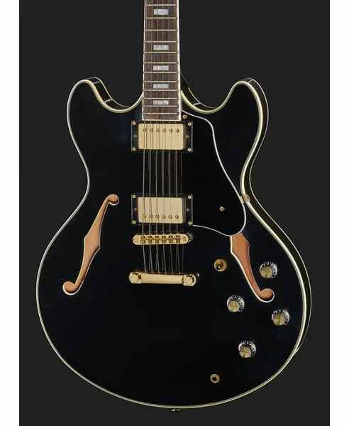 Larry Carlton H7 BK, yksityiskohta 4