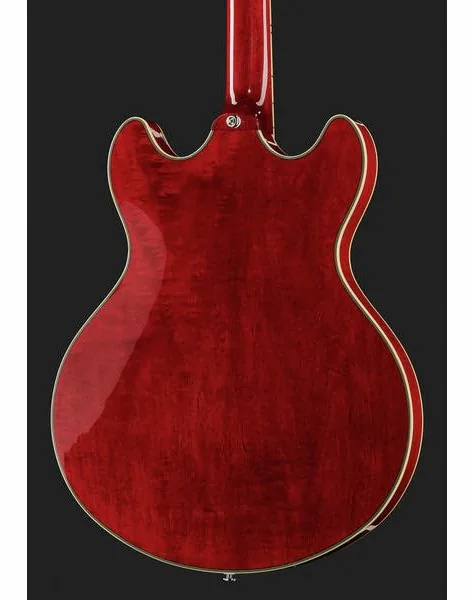 Larry Carlton H7 STR, yksityiskohta 5