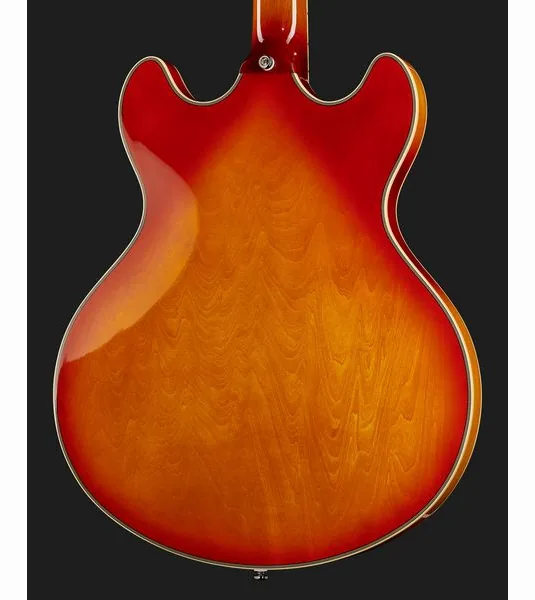Larry Carlton H7V CS, yksityiskohta 5