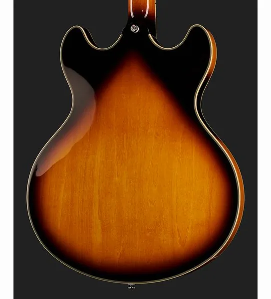 Larry Carlton H7V VS, yksityiskohta 5