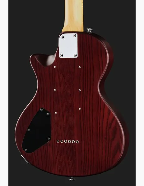 Larry Carlton I5L Tobacco Sunburst Satin, yksityiskohta 5