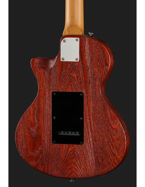 Larry Carlton I5S Tobacco Sunburst, yksityiskohta 5