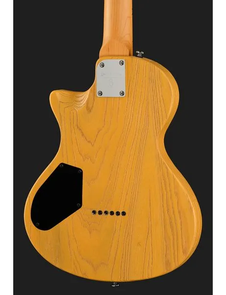 Larry Carlton I5T Butterscotch, yksityiskohta 5