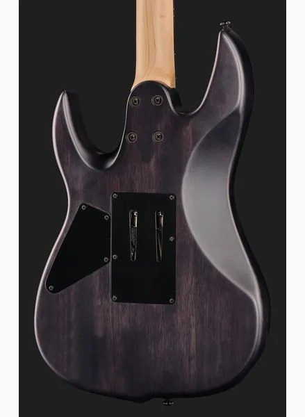 Larry Carlton X5 TBKS, yksityiskohta 5