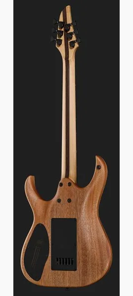 Mayones Guitars Duvell Elite 4Ever 6 PB, yksityiskohta 3