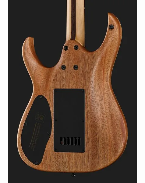 Mayones Guitars Duvell Elite 4Ever 6 PB, yksityiskohta 5