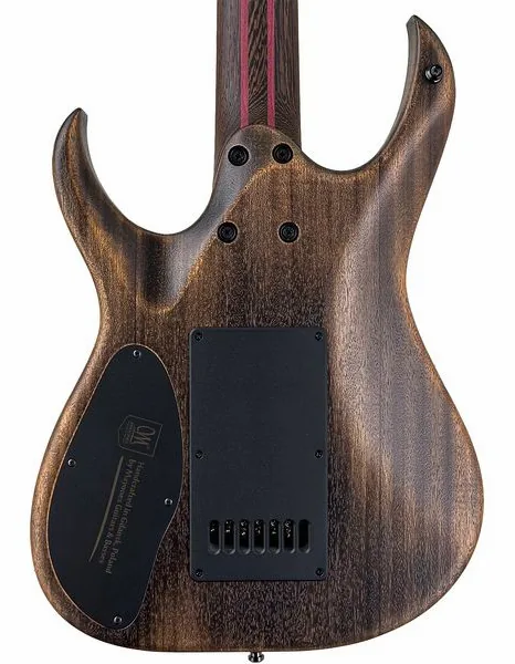 Mayones Guitars Duvell Elite 4Ever 7 MW, yksityiskohta 2