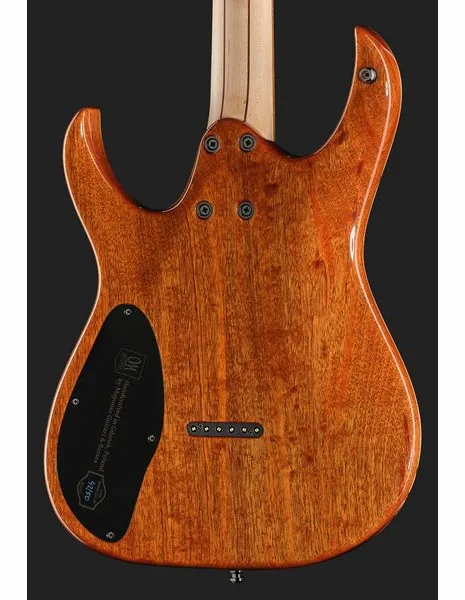 Mayones Guitars Duvell Elite 6 Purple NAMM'26, yksityiskohta 5