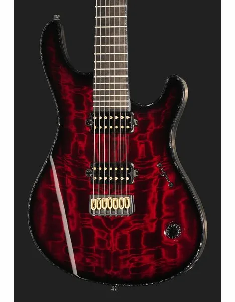 Mayones Guitars Regius 7 TDRG, yksityiskohta 4