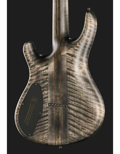 Mayones Guitars Regius 7 TDRG, yksityiskohta 5