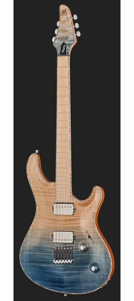 Mayones Guitars Regius Core 6 AMH, yksityiskohta 2