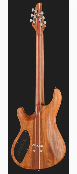 Mayones Guitars Regius Core 6 AMH, yksityiskohta 3