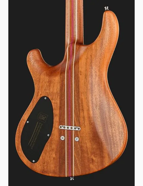 Mayones Guitars Regius Core 6 AMH, yksityiskohta 5