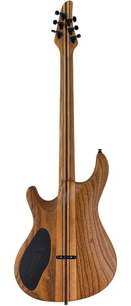 Mayones Guitars Regius Core 6 Poplar, yksityiskohta 2