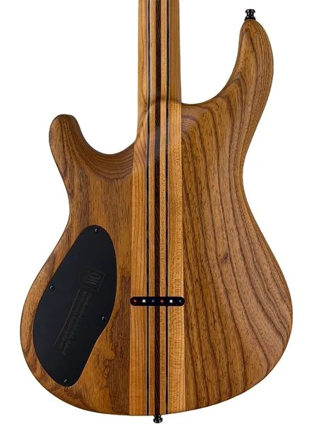 Mayones Guitars Regius Core 6 Poplar, yksityiskohta 4