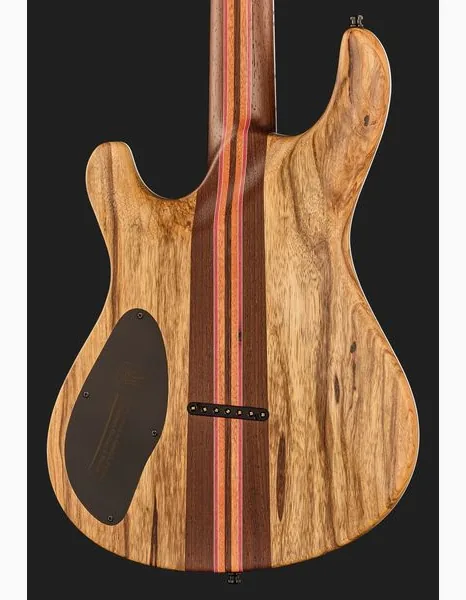Mayones Guitars Regius Core 7 Trans Graphite, yksityiskohta 5