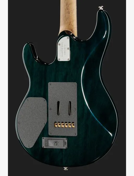 Music Man Luke IV HH Gator Burst, yksityiskohta 5