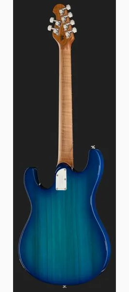 Music Man Steve Morse Standard Bl. Burst, yksityiskohta 3