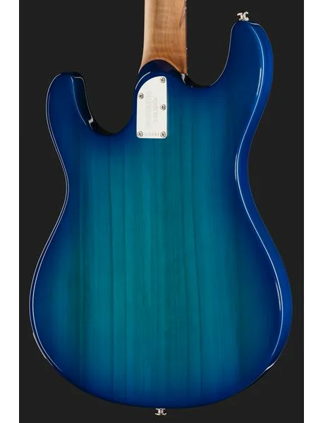 Music Man Steve Morse Standard Bl. Burst, yksityiskohta 5