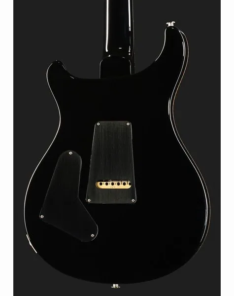 PRS 40th Anniv. Custom 24 SuZ #2, yksityiskohta 5