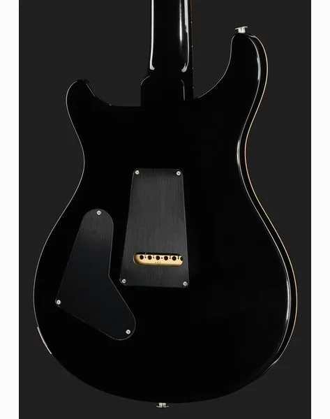 PRS 40th Anniv. Custom 24 SuZ, yksityiskohta 5