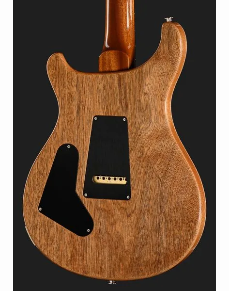 PRS 40th Anniversary Custom 24 TE, yksityiskohta 5