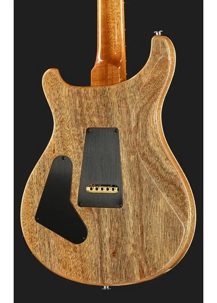 PRS Artist Grade Custom 24 S/H FI, yksityiskohta 5