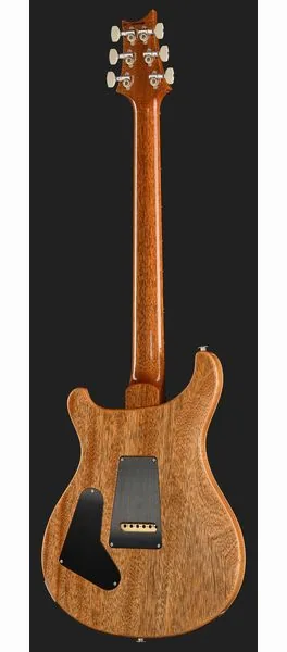 PRS Birds Of A Feather Custom 24 B, yksityiskohta 3