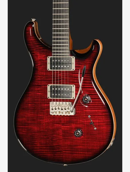 PRS Birds Of A Feather Custom 24 B, yksityiskohta 4