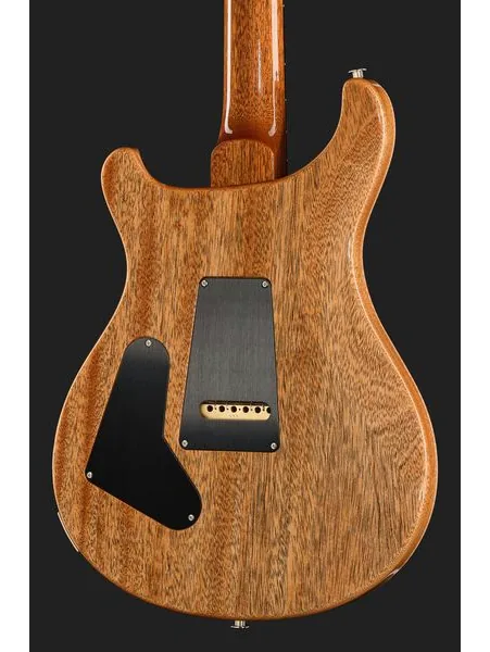 PRS Birds Of A Feather Custom 24 B, yksityiskohta 5