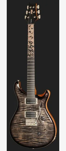 PRS Birds Of A Feather Custom 24 C, yksityiskohta 2