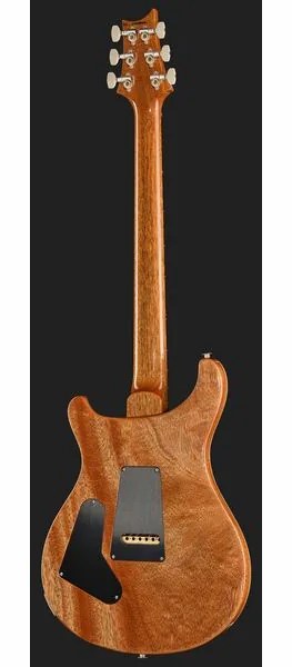 PRS Birds Of A Feather Custom 24 C, yksityiskohta 3