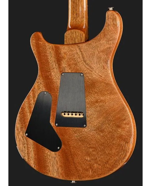 PRS Birds Of A Feather Custom 24 C, yksityiskohta 5