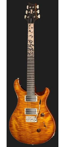 PRS Birds Of A Feather Custom 24 H, yksityiskohta 2