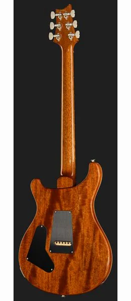 PRS Birds Of A Feather Custom 24 H, yksityiskohta 3