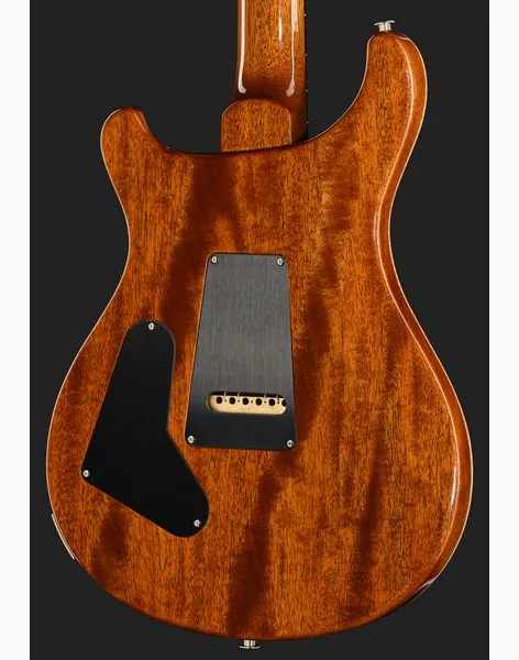 PRS Birds Of A Feather Custom 24 H, yksityiskohta 5