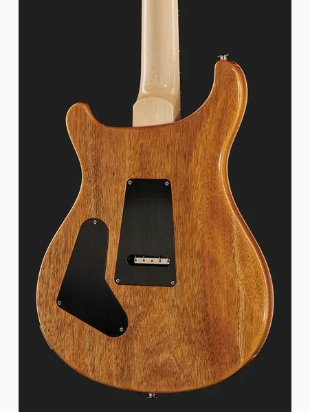 PRS Custom 24 Floyd 10 Top CH 2024, yksityiskohta 5