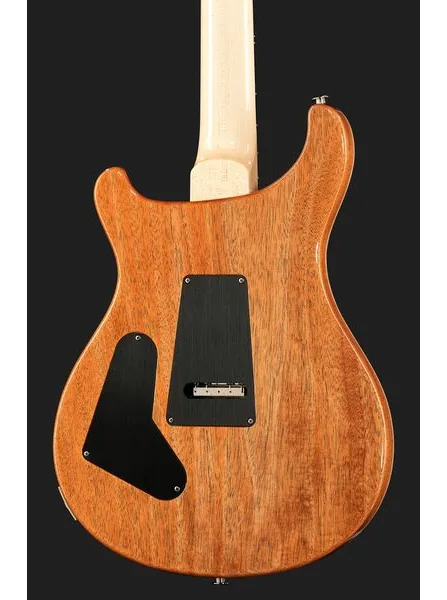PRS Custom 24 Floyd 10 Top CH, yksityiskohta 5