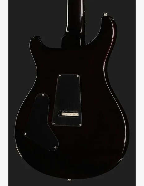 PRS Custom 24 Floyd BGWB, yksityiskohta 5