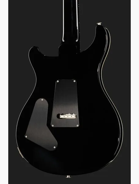 PRS Custom 24 Floyd FW, yksityiskohta 5