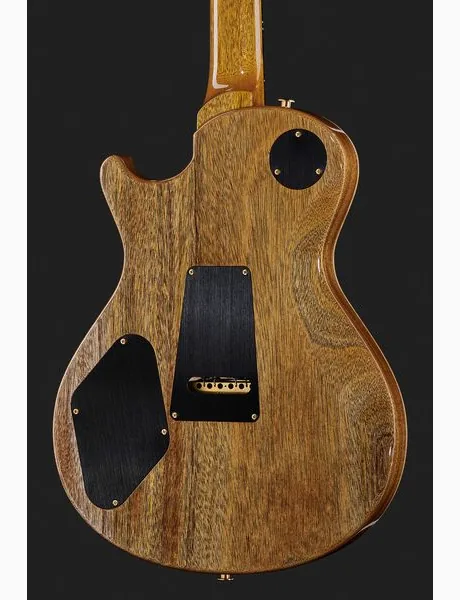 PRS Mark Tremonti CH 10 Top, yksityiskohta 5