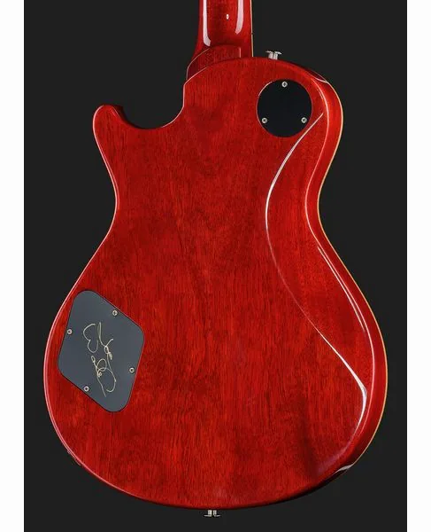 PRS McCarty 594 Joe Walsh LTD, yksityiskohta 5