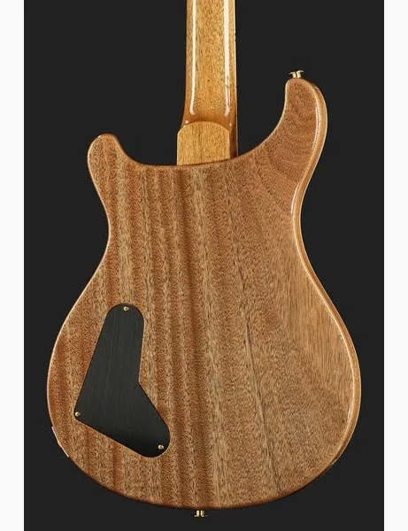 PRS McCarty FBJ MCIII 10 Top, yksityiskohta 5