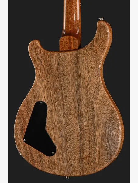 PRS Paul's Guitar Mango LTD TE, yksityiskohta 5
